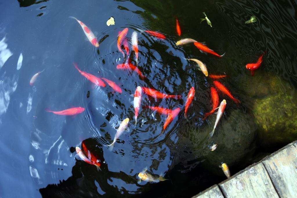 Guest House Of Permaculture Jiaxin エクステリア 写真