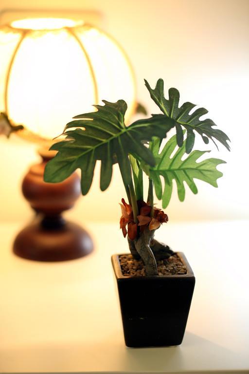 Guest House Of Permaculture Jiaxin 部屋 写真