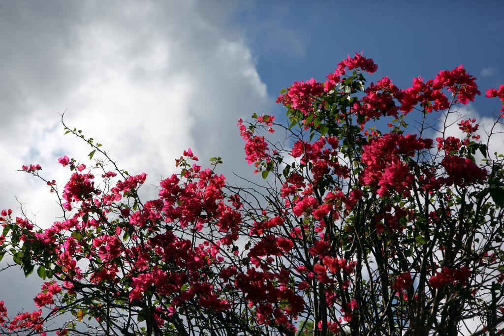Guest House Of Permaculture Jiaxin エクステリア 写真